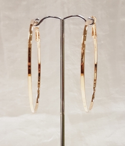 Earrings ER18-5062G